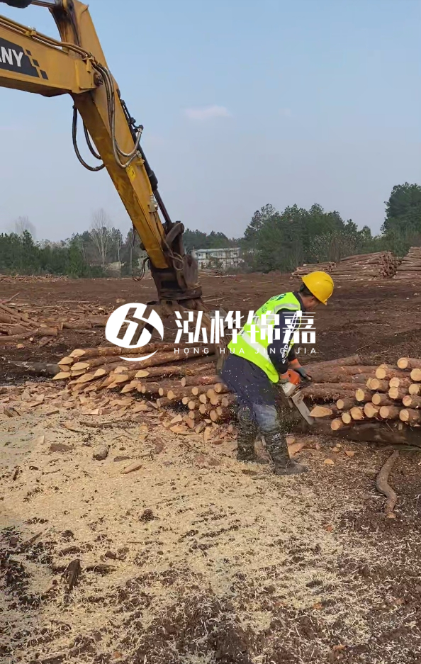 滁州挖機(jī)打木樁專業(yè)施工-河道打木樁與河岸加固關(guān)系？